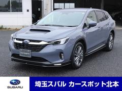 スバルレヴォーグ レイバックリミテッドEX セーフティ+ 純正ナビ 全周囲カメラ
