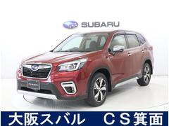 スバルフォレスターアドバンス ダイアトーンナビ F・S・R・カメラ ETC