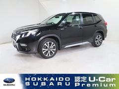 スバルフォレスターアドバンス SDナビ FSRカメラ ドラレコ ETC