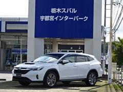 スバルレヴォーグ レイバックリミテッドEX 純正ナビ ETC 全周囲カメラ 付
