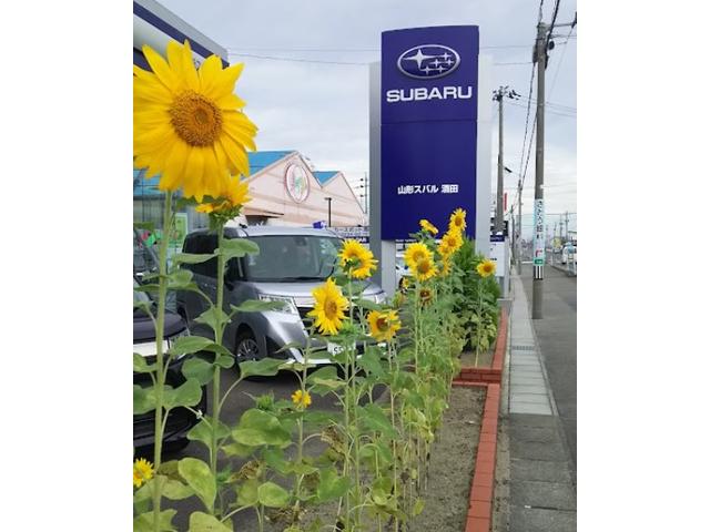 店舗イメージ